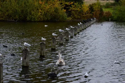 DSC_0536 (Large).JPG